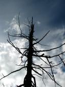 Klik za večjo sliko